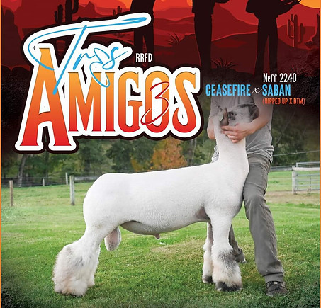SIRES | Marx Genetics